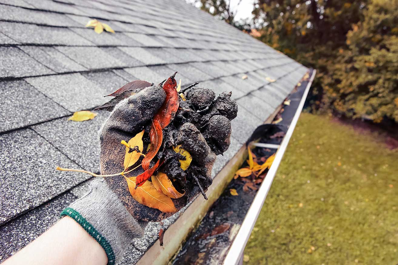 Are you looking to get your gutters cleaned? Phoenix Roofing and Renovations will clean your gutters professionally.